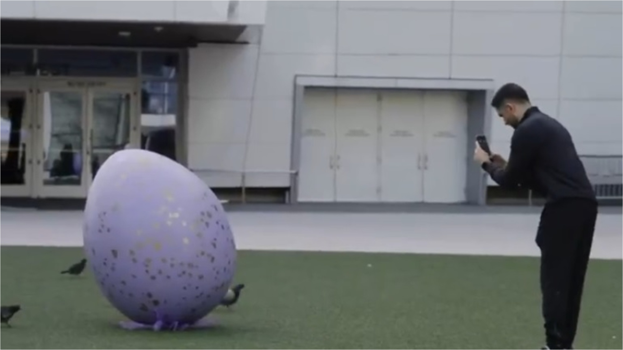 VIDEO: Golden State Valkyries Introduce Violet The Raven Mascot During Halftime Celebration