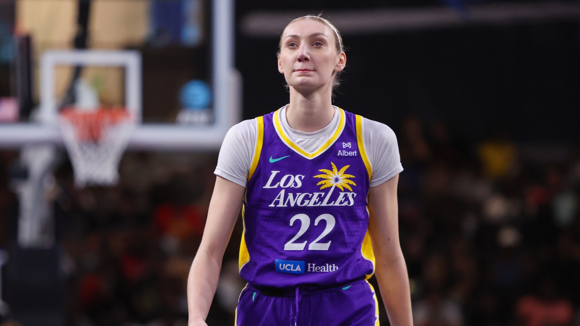 What is WNBA Disabled Player Exception? Discover