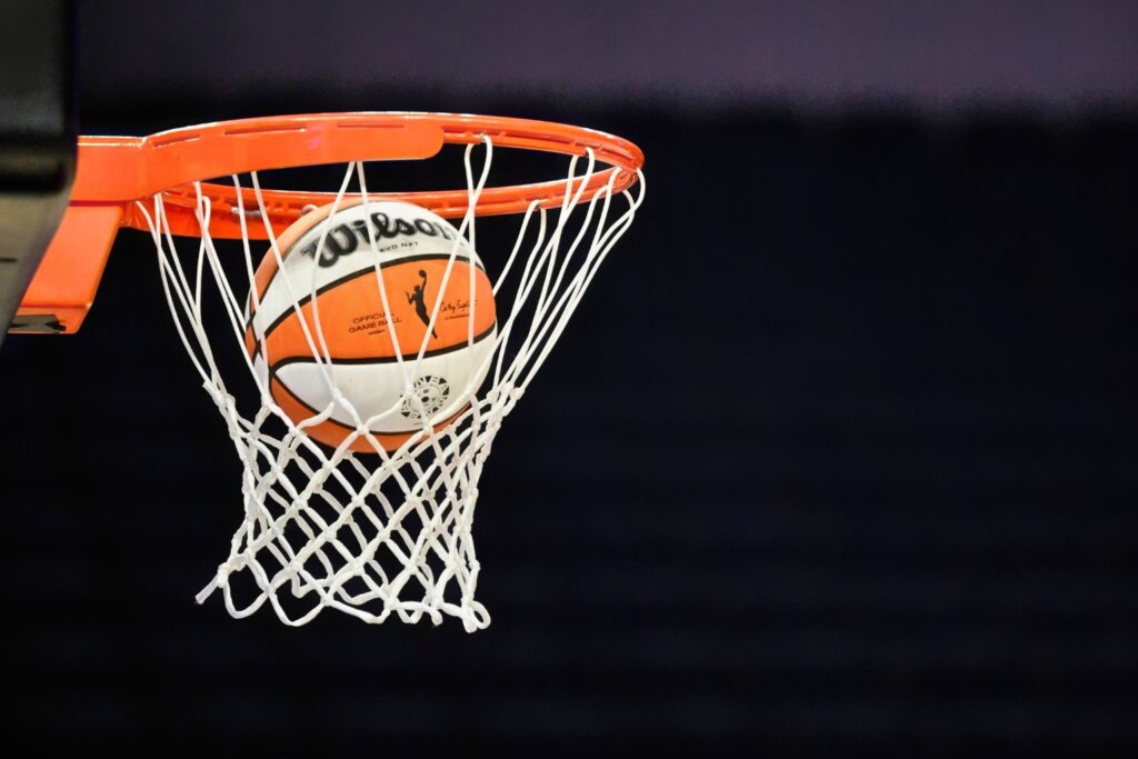 WNBA Logo on the Ball