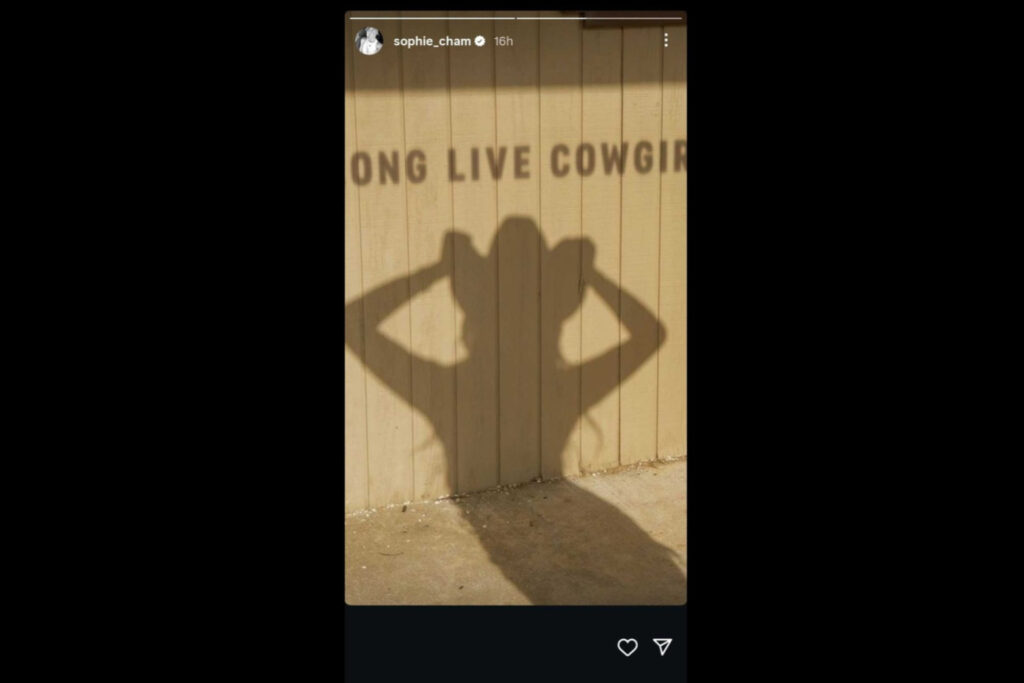 Screengrab of Sophie Cunningham Instagram Story