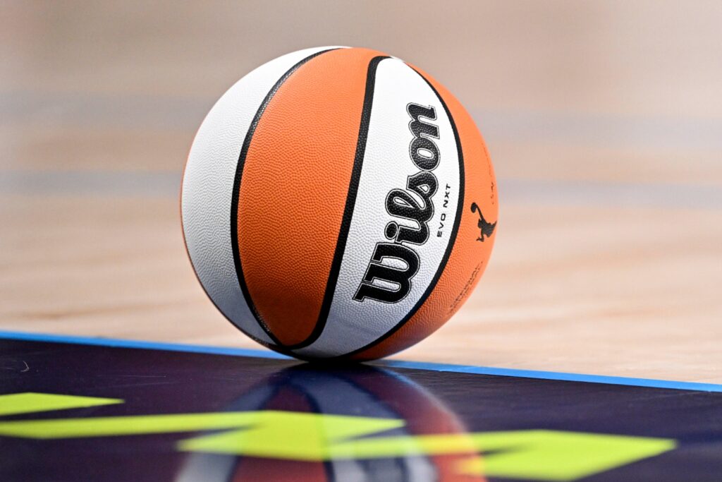 The WNBA Game Ball 