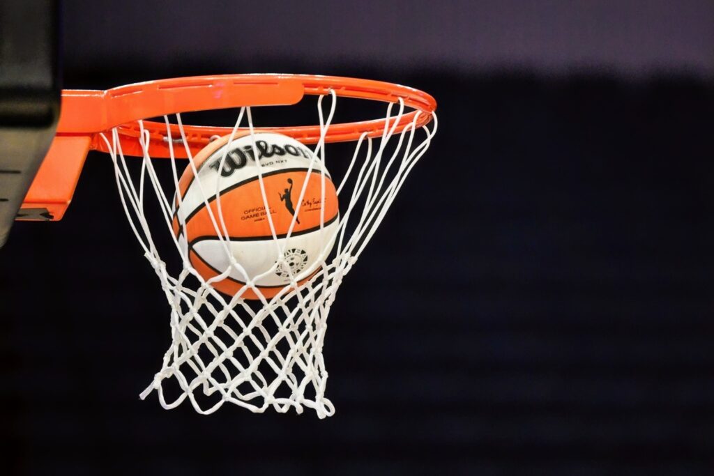 The WNBA Logo in the WNBA Ball