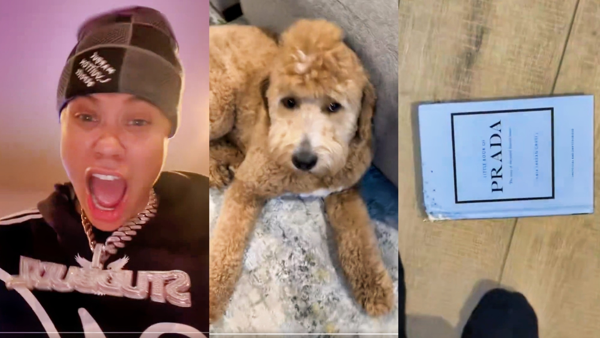 Natisha Hiedeman Crashes Out After Her Pet Dog Destroys Luxury Collectibles in Chaotic TikTok Meltdown [VIDEO]